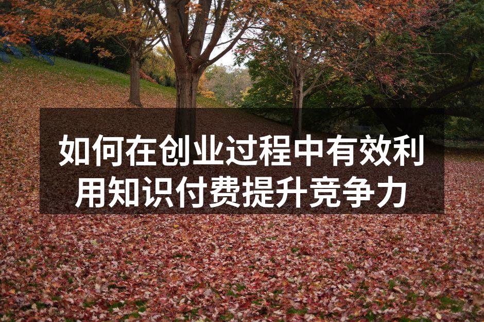 如何在创业过程中有效利用知识付费提升竞争力