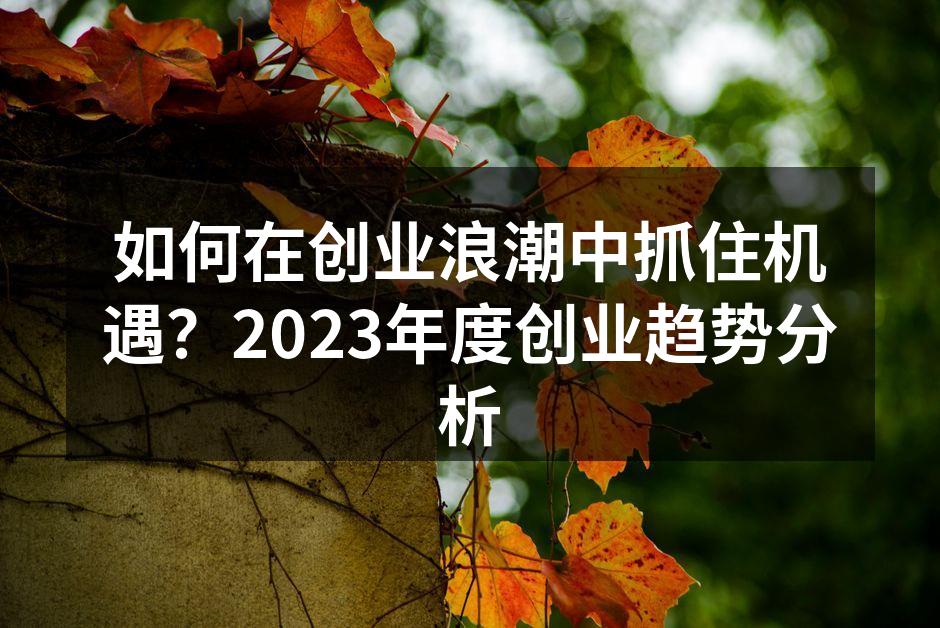 如何在创业浪潮中抓住机遇？2023年度创业趋势分析