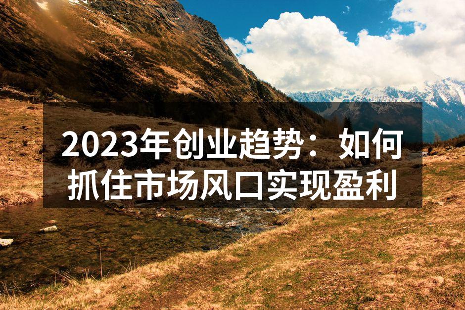 2023年创业趋势：如何抓住市场风口实现盈利